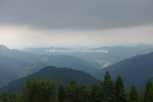 0731野孩子志工有愛一家 (97).jpg