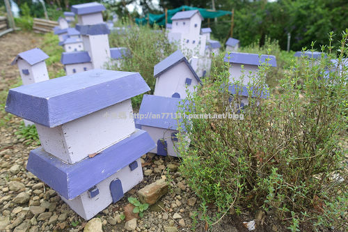 0814田中露營 (149).jpg