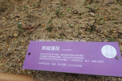 0814田中露營 (155).jpg