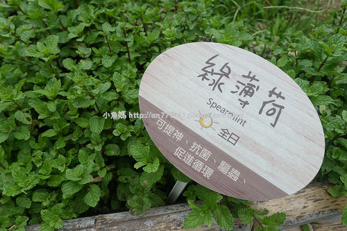 0814田中露營 (157).jpg