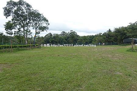 822上雲端 (75).jpg