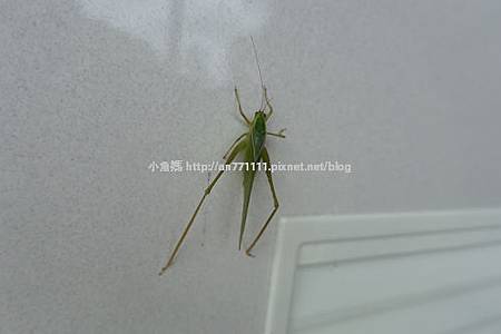 822上雲端 (80).jpg