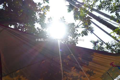 明德窯 (99).jpg