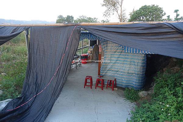 1204魚米樂 (7).jpg