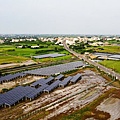 雲林空拍 (5).jpg