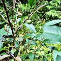 LINE_ALBUM_20220617_220621_36.jpg
