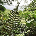 LINE_ALBUM_20220617_220621_39.jpg