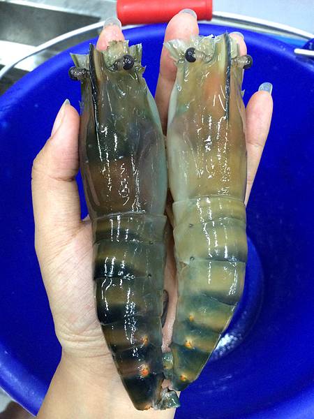 【台中。全國釣蝦場】大夥釣蝦聚餐打發時間的好去處