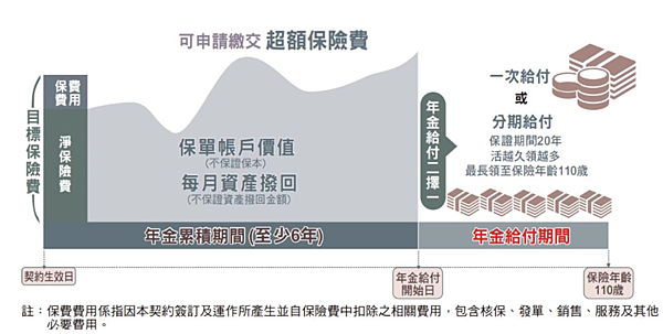 投資型保單指南，打造個人財富的秘密武器