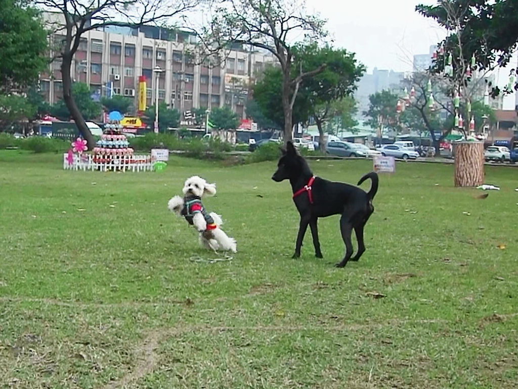 20131227084658(17) 小小