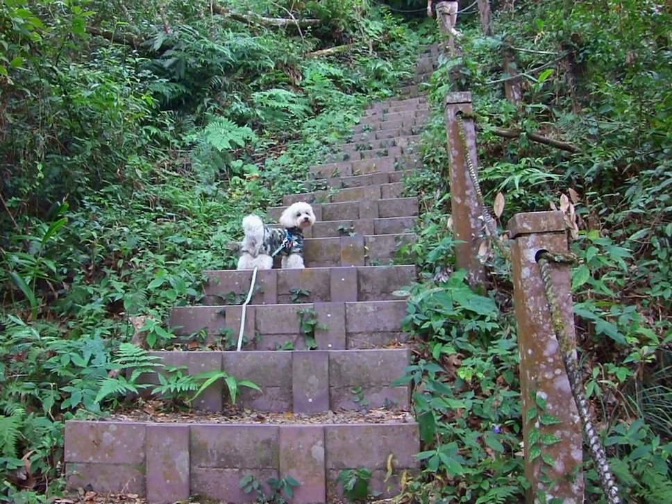 20131210130442.m2ts馬拉邦山上湖登山口(4) 小小