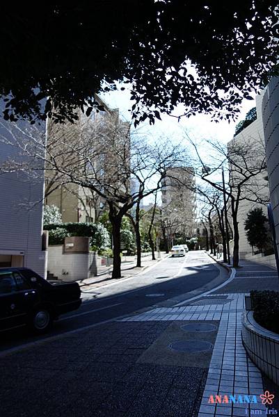 ANA InterContinental (2).JPG ANA InterContinental (2).JPG