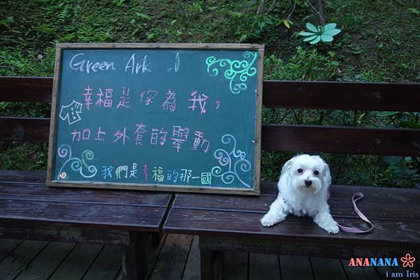 DSC07138 DSC07138