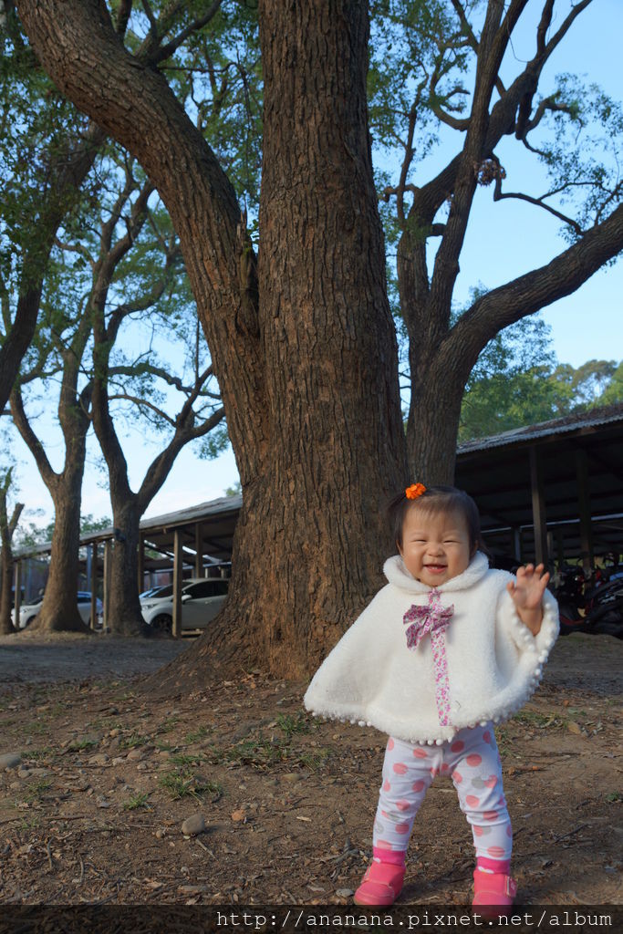 DSC09427.JPG DSC09427.JPG