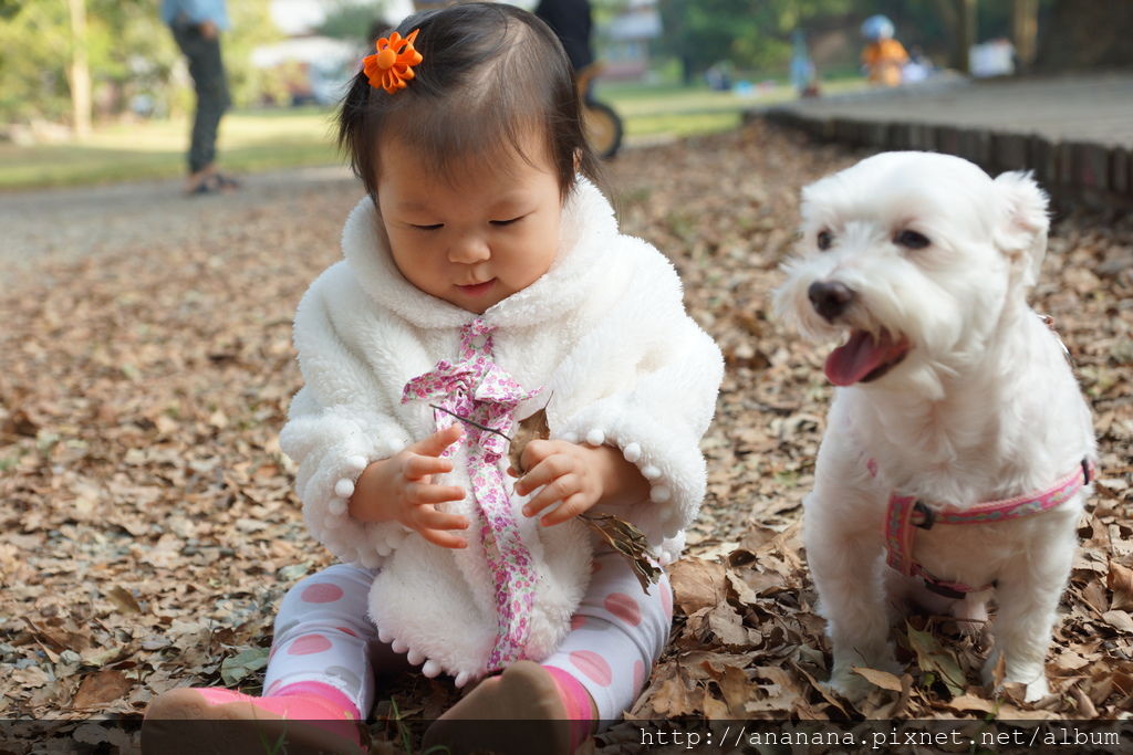 DSC09470.JPG DSC09470.JPG