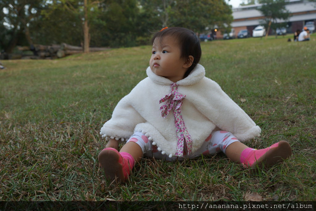 DSC09528.JPG DSC09528.JPG