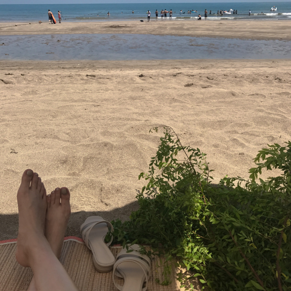 相片 2017-7-19 上午11 00 55.jpg