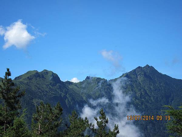 能高安東軍吧