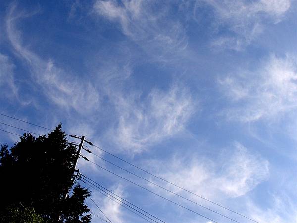 puffy clouds