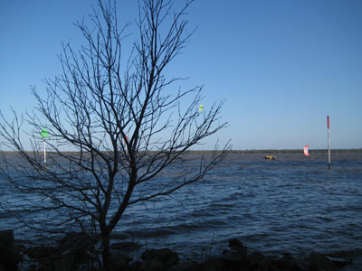 湖岸風景