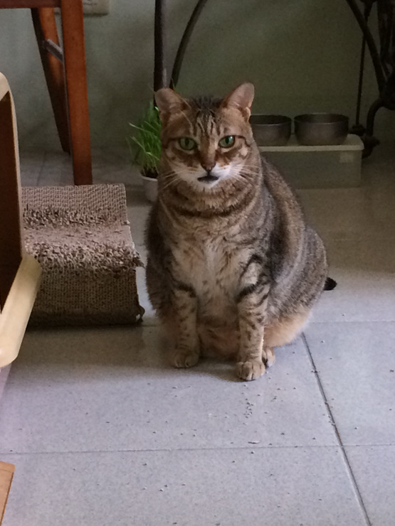 照片 367v11 照片 367v11