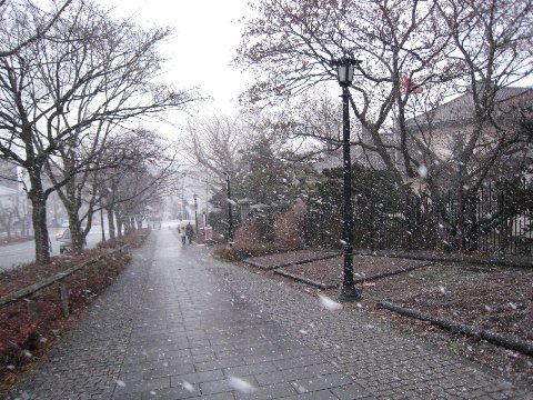 大雪紛飛