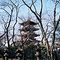 Ueno Park 1