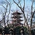 View of Kan'ei-ji from Tosho Gu Shrine