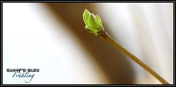 Der Frühling15.jpg