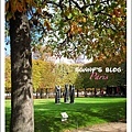 Jardin des Tuileries  11.JPG