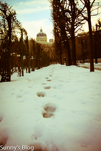 Natural History Museum-Winter 1.jpg Natural History Museum-Winter 1.jpg