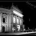 Burgtheater at night.jpg