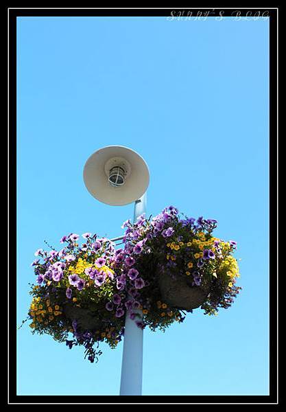 Street Light at Friday Harbor.jpg