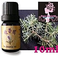 【純精油】杜松 JuniperBerry-10ml-380元