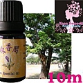 【純精油】花梨木/紫檀木 Rosewood-10ml-980元