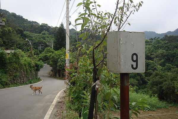 北109舊牌(2)_100801.JPG