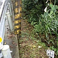 北47-1_8K舊碑_091025.JPG