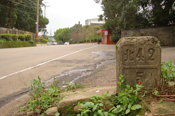 DSC02509.JPG