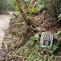 DSC02738.JPG
