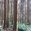 20140920_145801.jpg