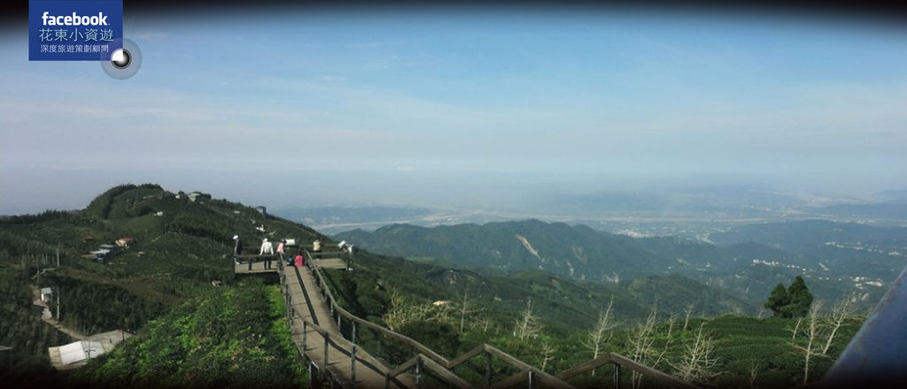 大崙山茶園步道3