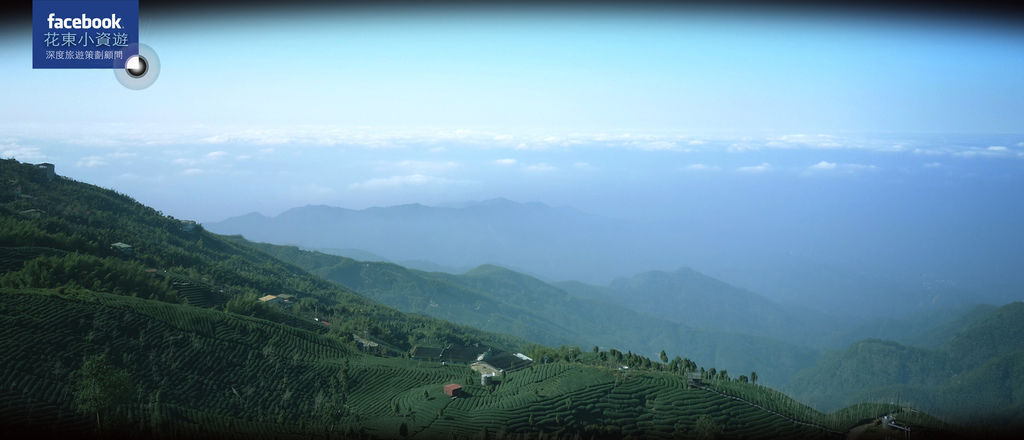 大崙山茶園步道1