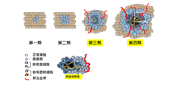 E2B6075F-DE16-41A7-A893-208F17B285B8