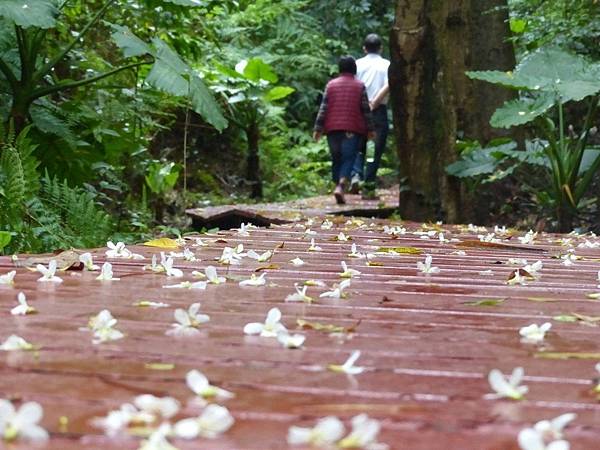 874E06AC-4087-40C9-B557-E15FA15A0757 874E06AC-4087-40C9-B557-E15FA15A0757