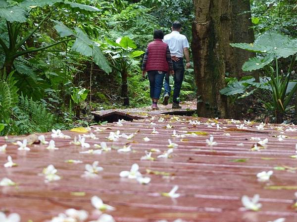 EA262CA3-C620-49CF-B756-E3490336F7C6 EA262CA3-C620-49CF-B756-E3490336F7C6