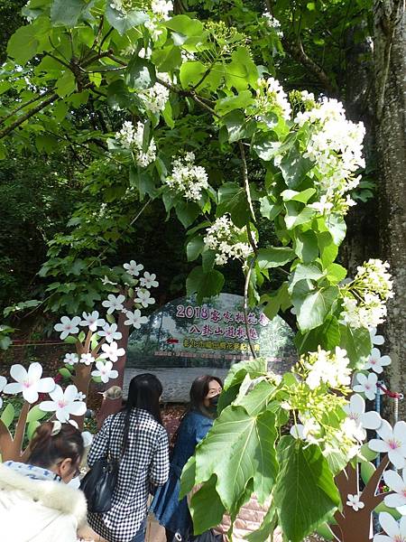 1C325D02-AA93-48E5-AB39-6FFA878081A3 1C325D02-AA93-48E5-AB39-6FFA878081A3