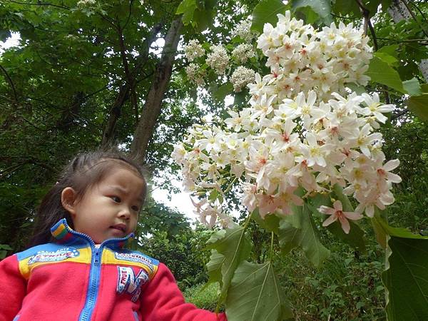 1FC8E3A3-42E7-41B1-814A-44461BB3518C 1FC8E3A3-42E7-41B1-814A-44461BB3518C