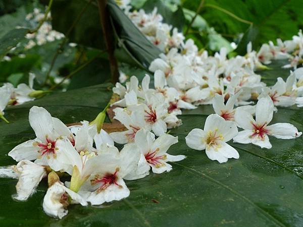 9B67C161-5366-4BBC-934A-9142A19D0643 9B67C161-5366-4BBC-934A-9142A19D0643