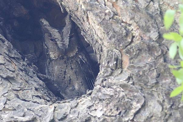 2662E460-A82C-434D-B1C3-CC13D71BA5F2 2662E460-A82C-434D-B1C3-CC13D71BA5F2