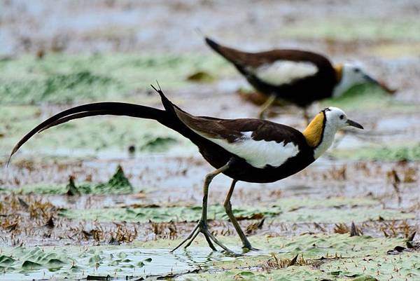 2ECD32AD-3927-4CA7-961B-B2D2306EE6DC 2ECD32AD-3927-4CA7-961B-B2D2306EE6DC